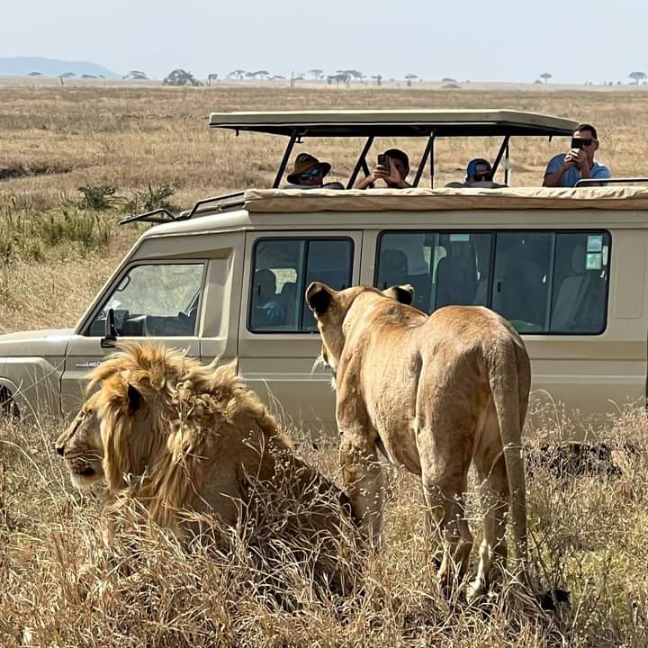 4 Days Masai Mara & Lake Nakuru Group Safari  Big Five Adventure (8/21)