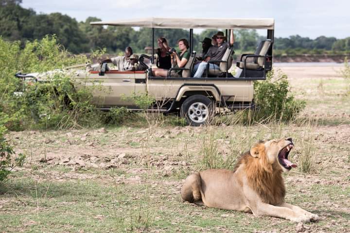 3-Day Masai Mara Exclusive Flying Safari (2/14)