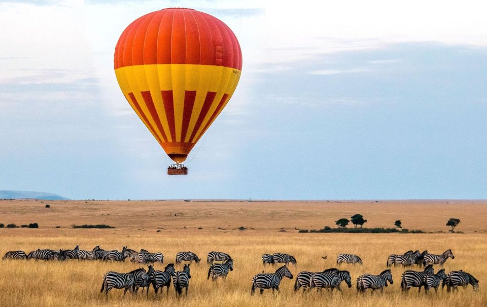3-Day Masai Mara Exclusive Flying Safari (13/14)