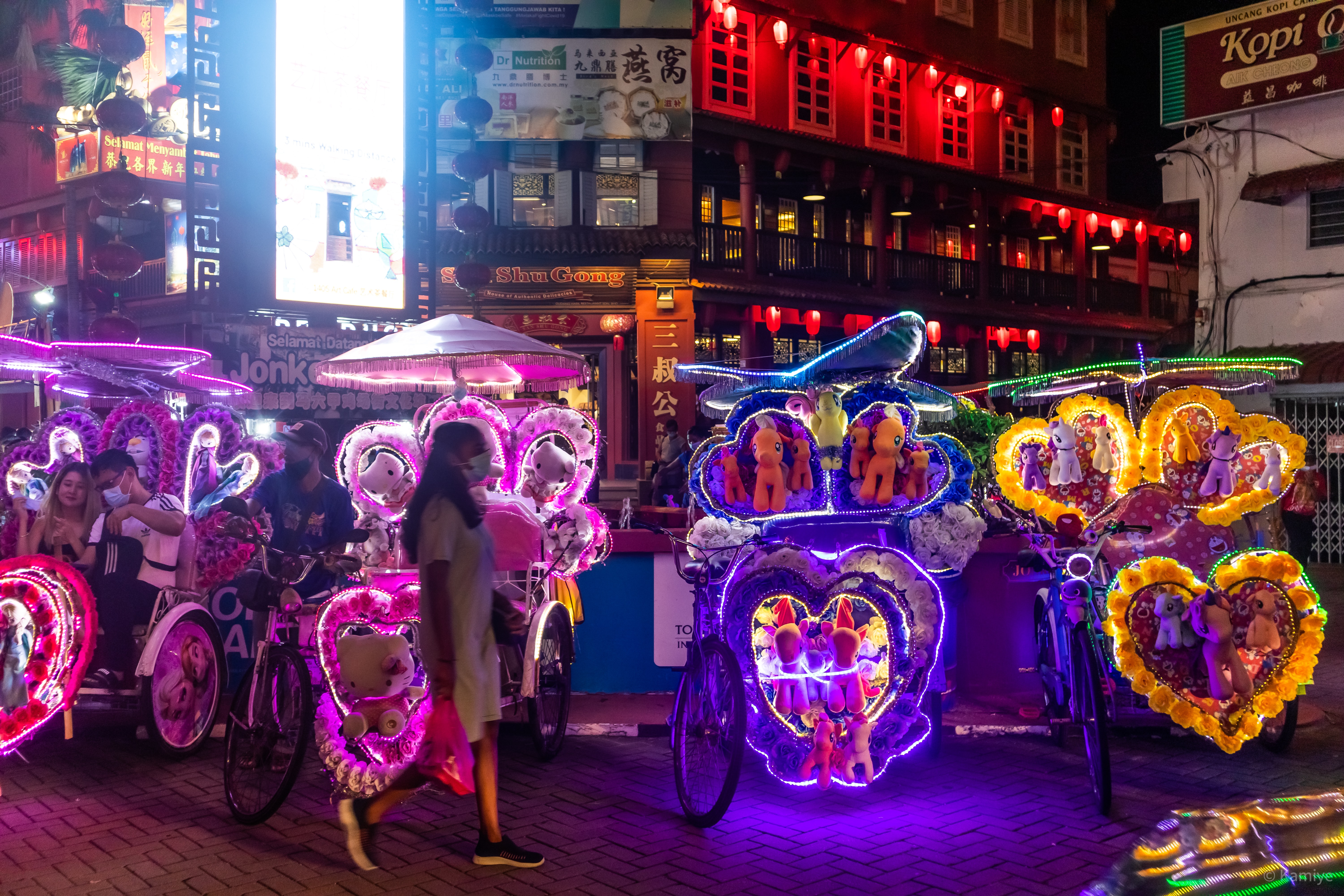 Малайзия. Полуостровной Экспресс (38/52)
