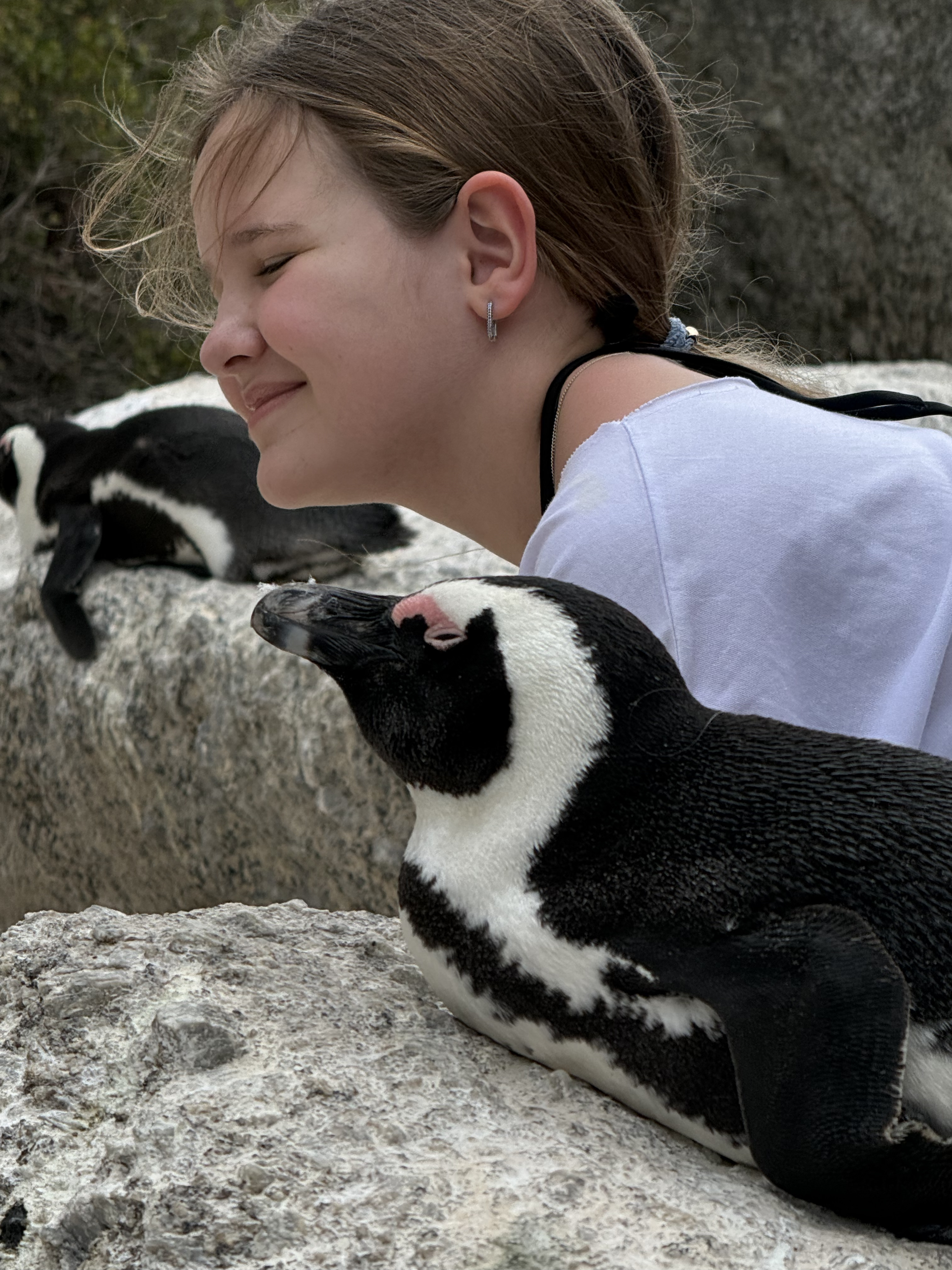 Кейптаун на яхте: уникальный и единственный тур