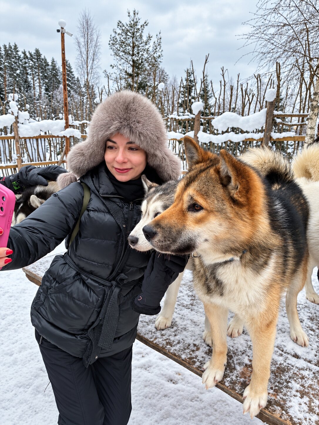 Северные олени, хаски и водопады
