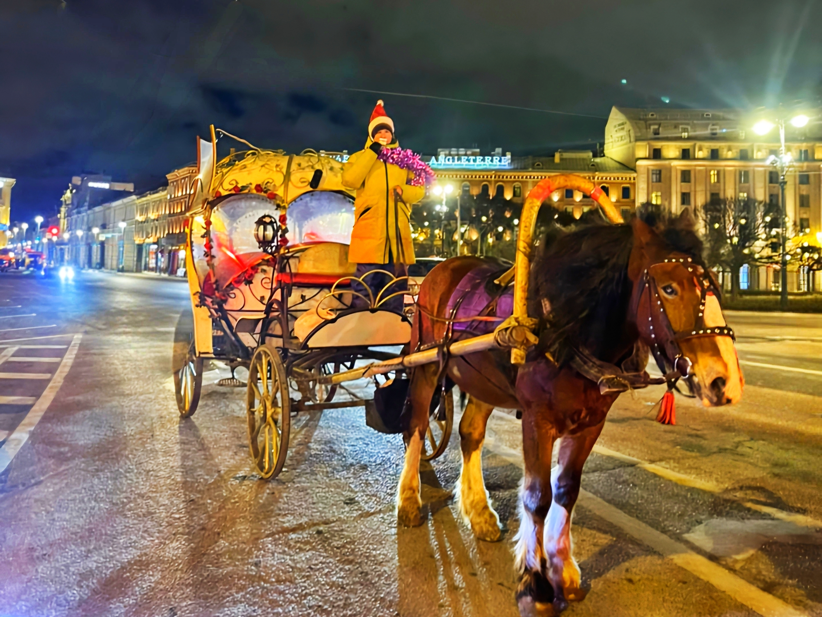 Встреча Нового Года в Санкт-Петербурге! Новогодний тур из Москвы