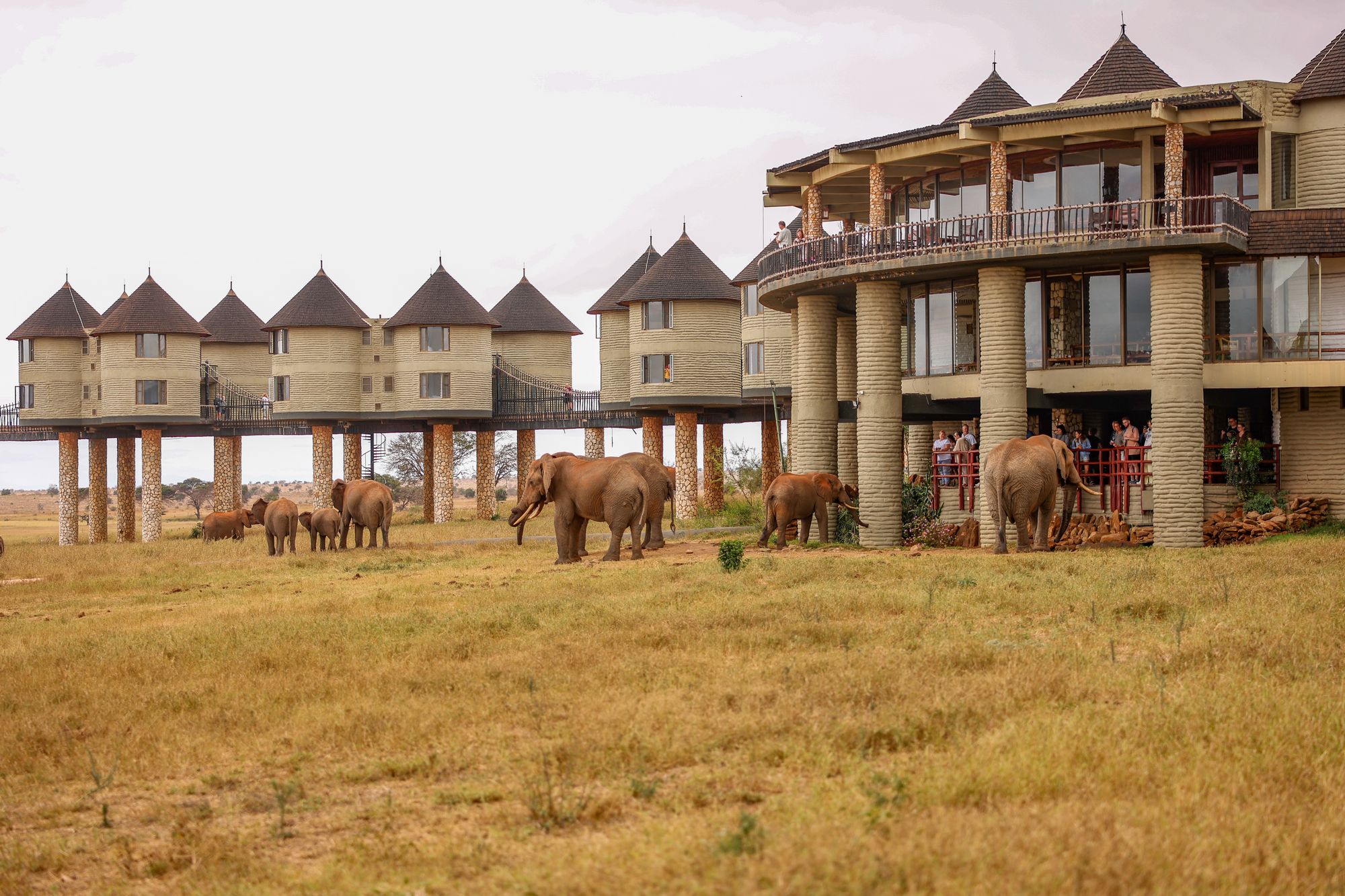 Taita Hills & Tsavo Safari