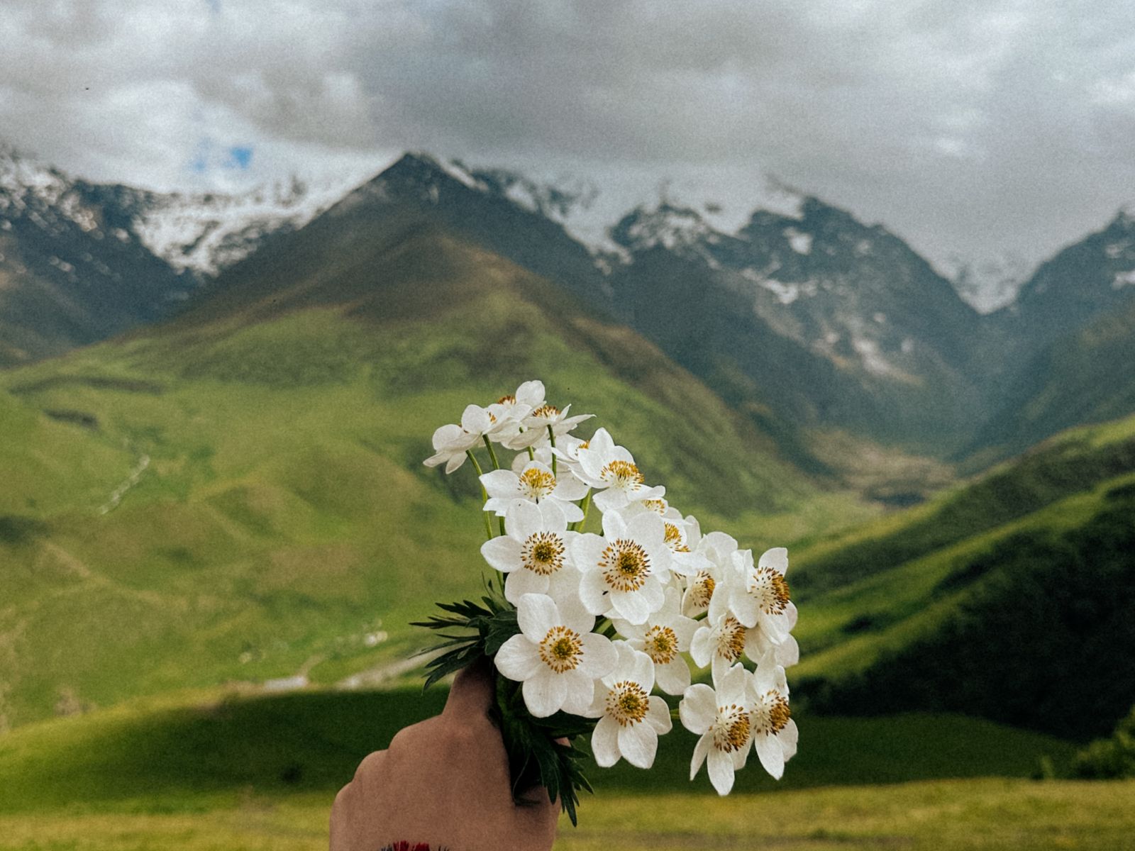 Мама, я в Осетии — фото тура