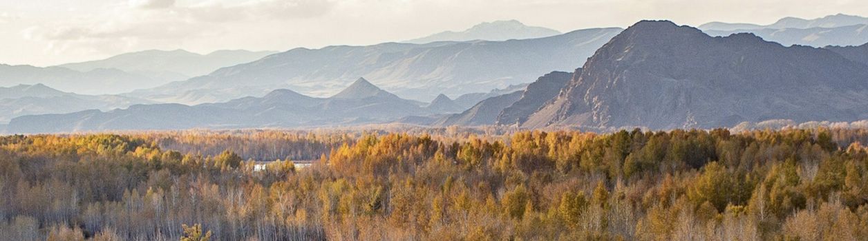 Туры в Тыву (Туву)