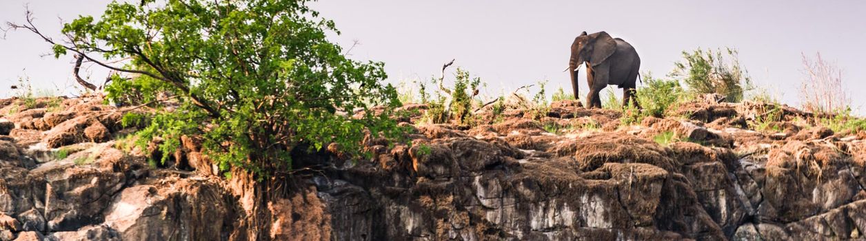 Туры в Зимбабве