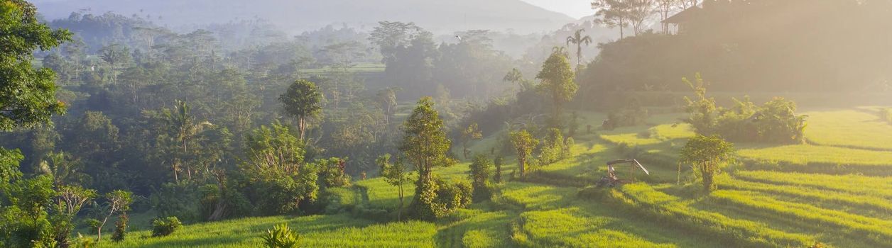 Туры в Индонезию