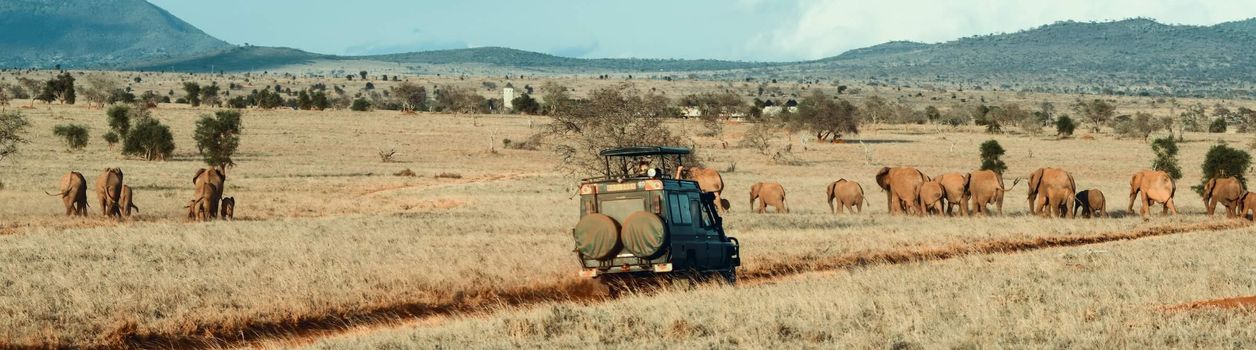 Сафари туры