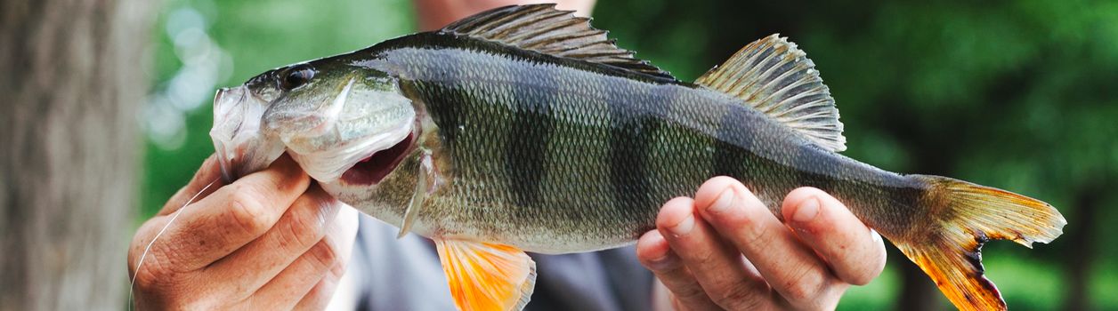 Рыболовные туры