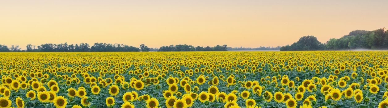 Туры в Липецкую область