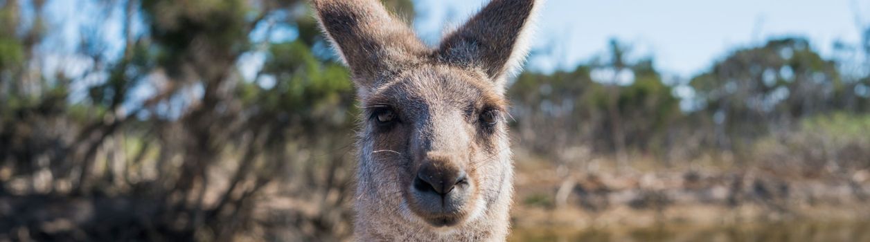 Туры в Австралию и Океанию