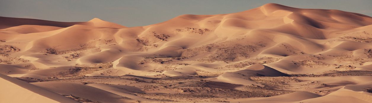Туры в пустыню Гоби