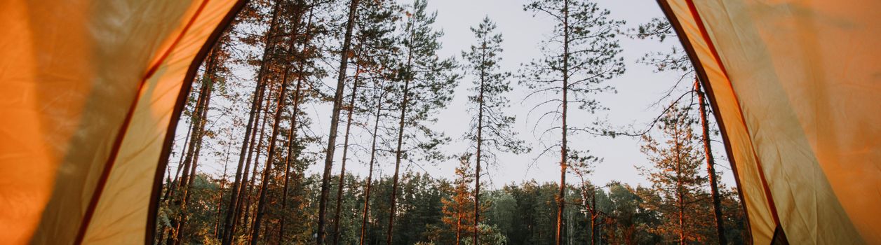 Туры в Карелию