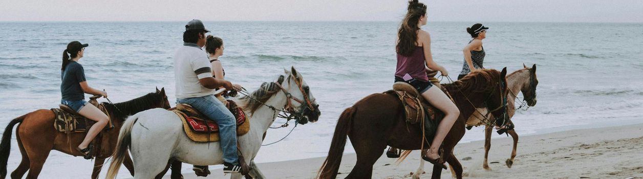 Конные туры