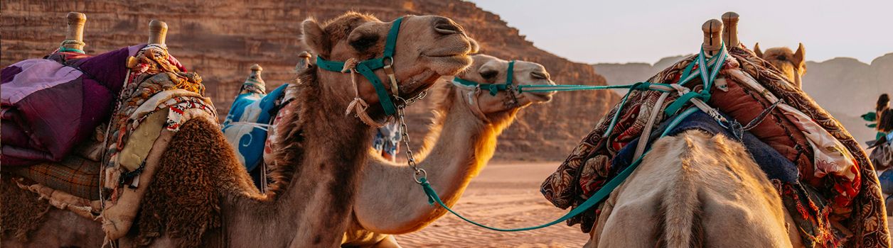 Туры в Западную Сахару