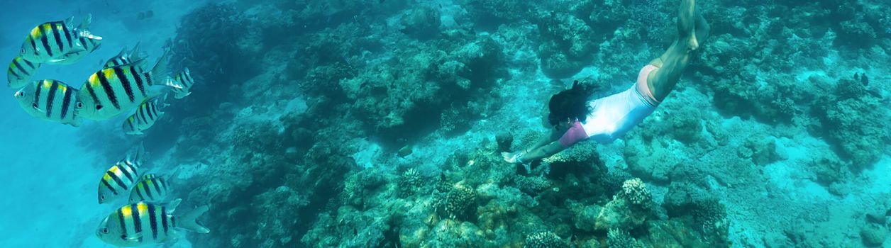 Туры на 8 дней