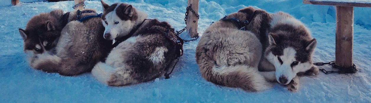 Туры в Мурманск