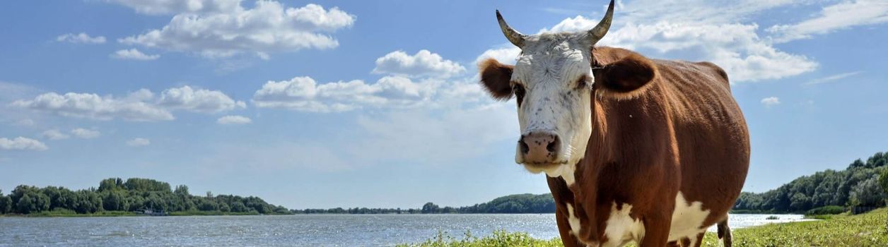 Туры в Астрахань и Астраханскую область