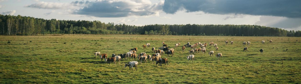 Туры на Дальний Восток