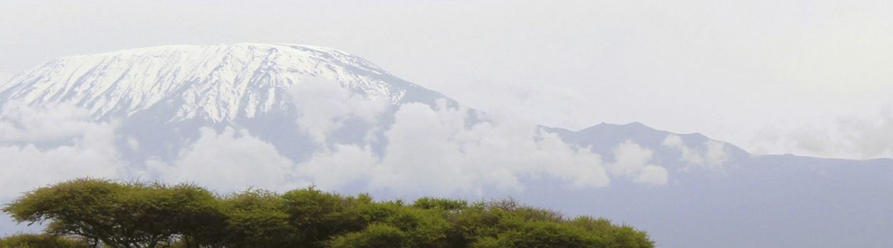 Восхождение на Килиманджаро