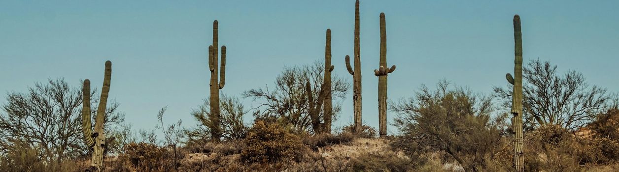 Туры в Аризону