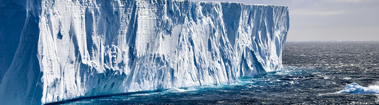 Туры в Антарктиду в августе