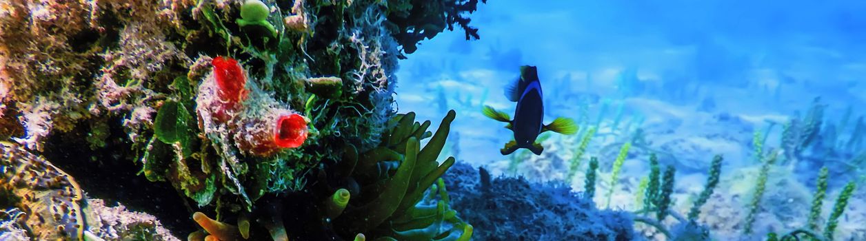 Туры на Красное море