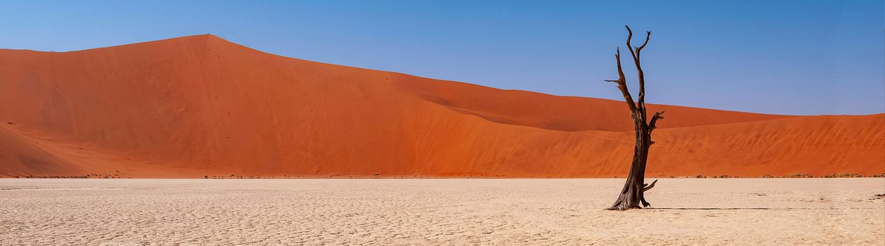Сафари в Намибии