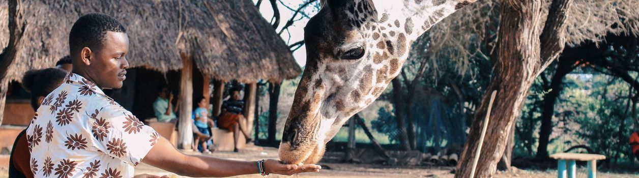 Горящие туры в Африку