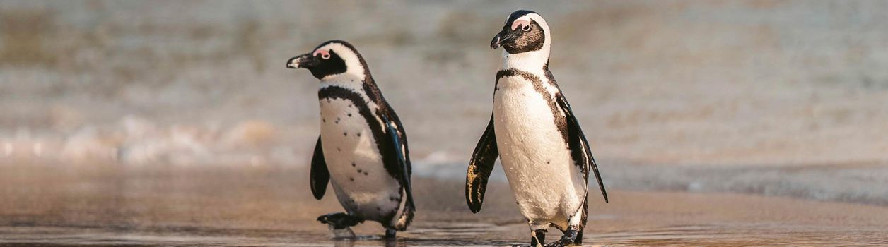 Горящие туры