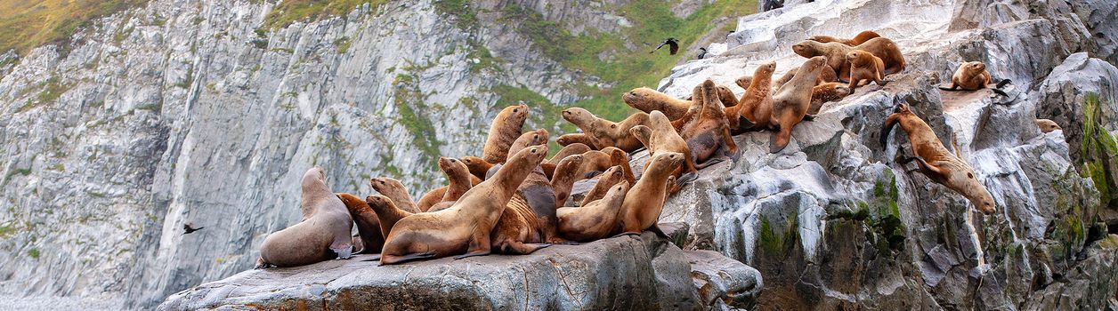 Туры на Камчатку