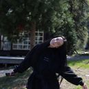 Альбина