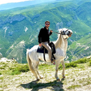 Абдулмажид