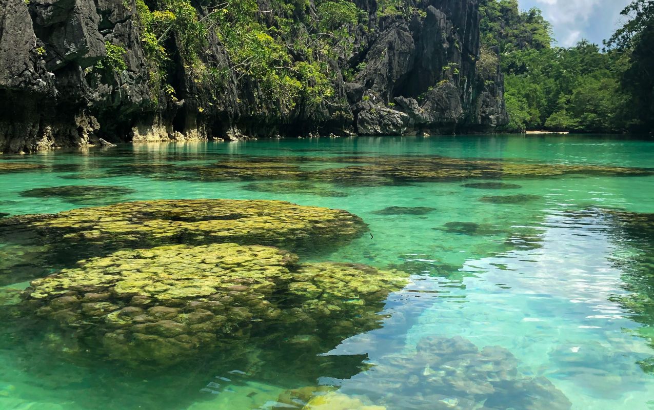 Wonders of Philippines Solo Travel Packages