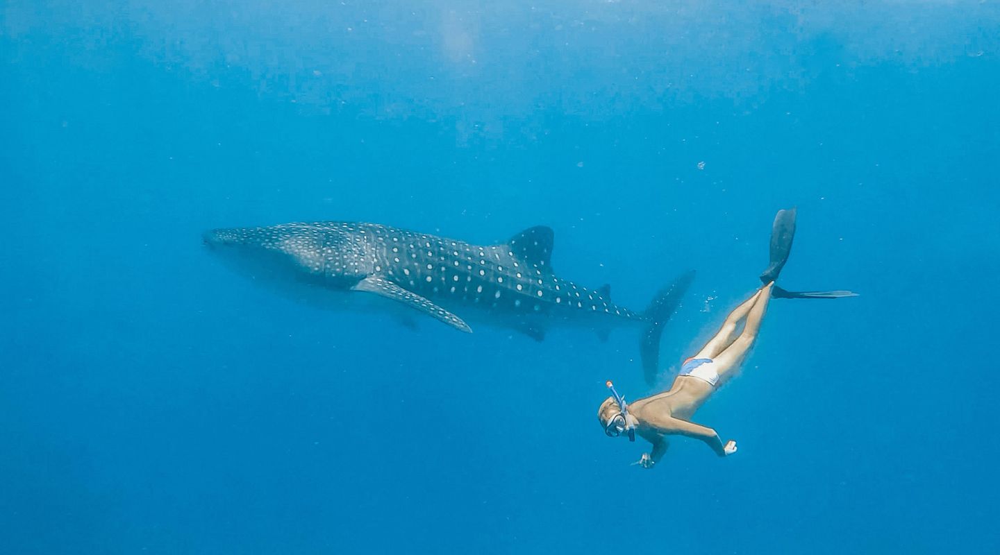 Exploring the Depths of the Maldives with Freediving