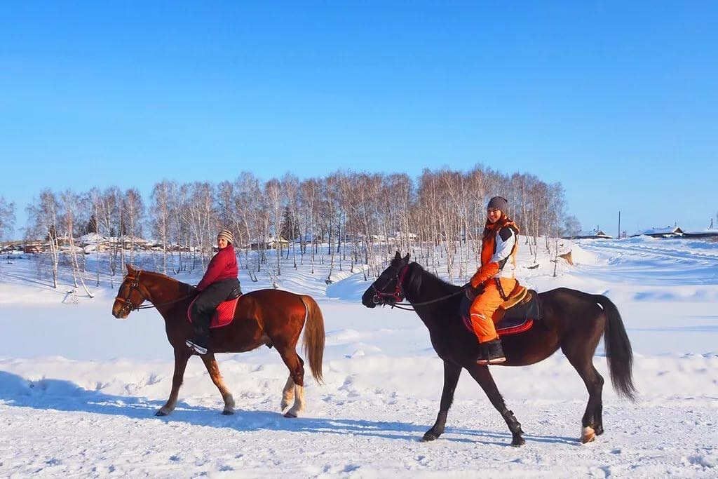 Конная прогулка зимой