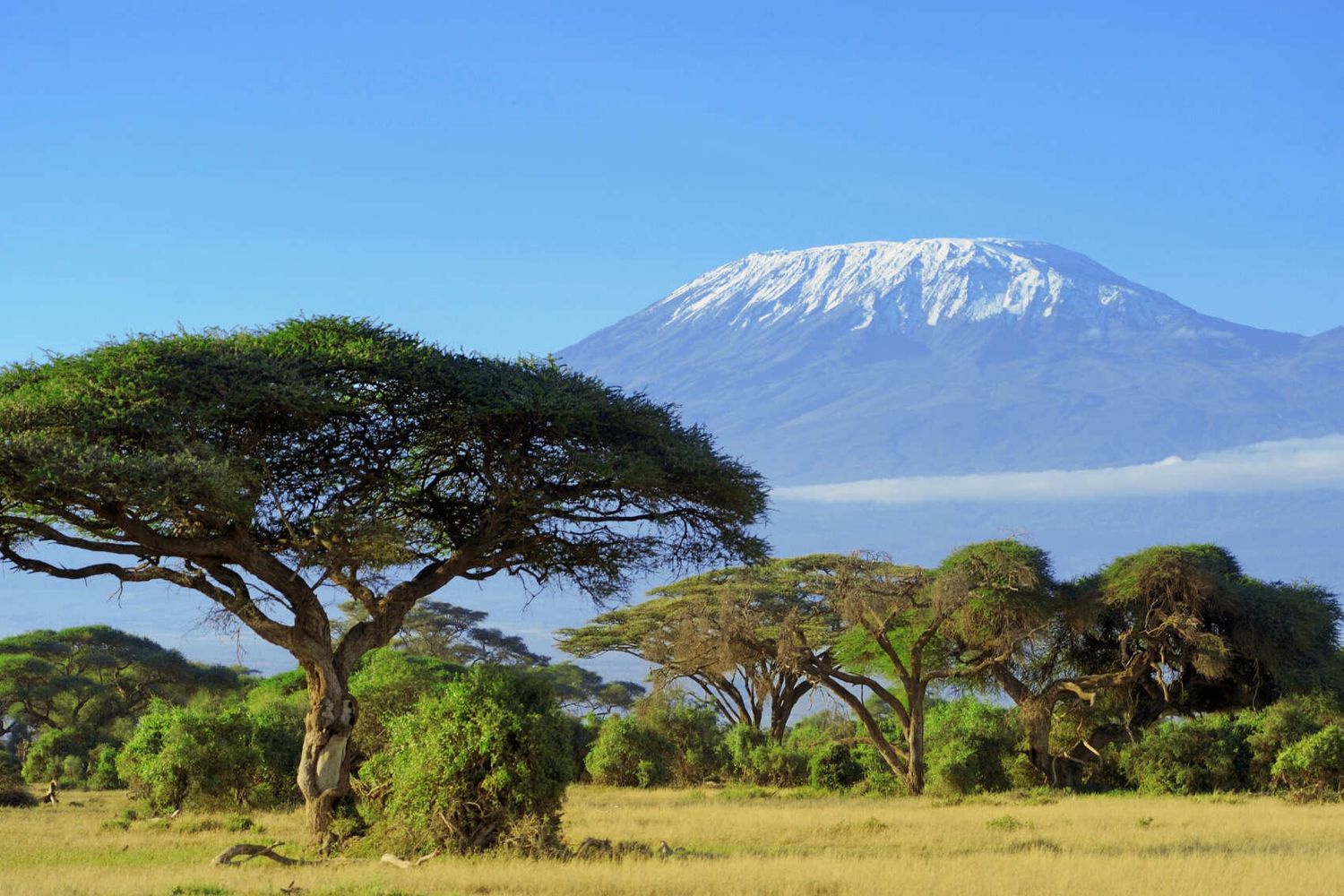 Tanzania. Kilimanjaro climb