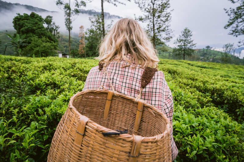 Бронируйте уникальные путешествия по всему миру · YouTravel.Me
