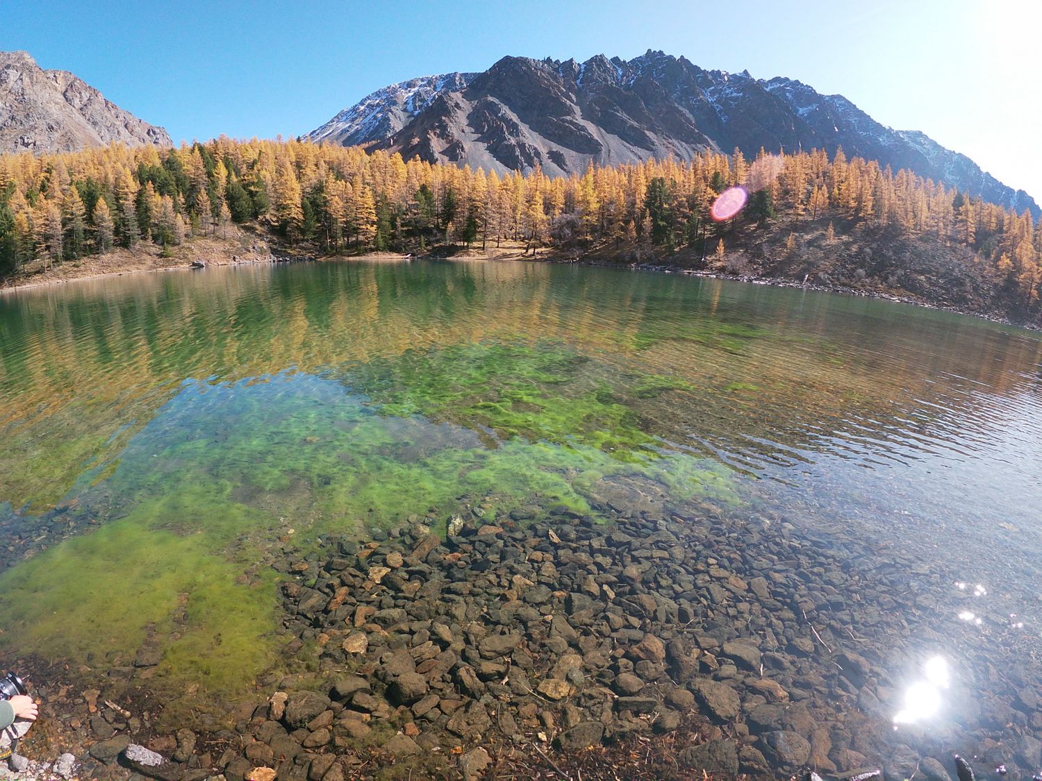 Сандра озеро Республики Алтай