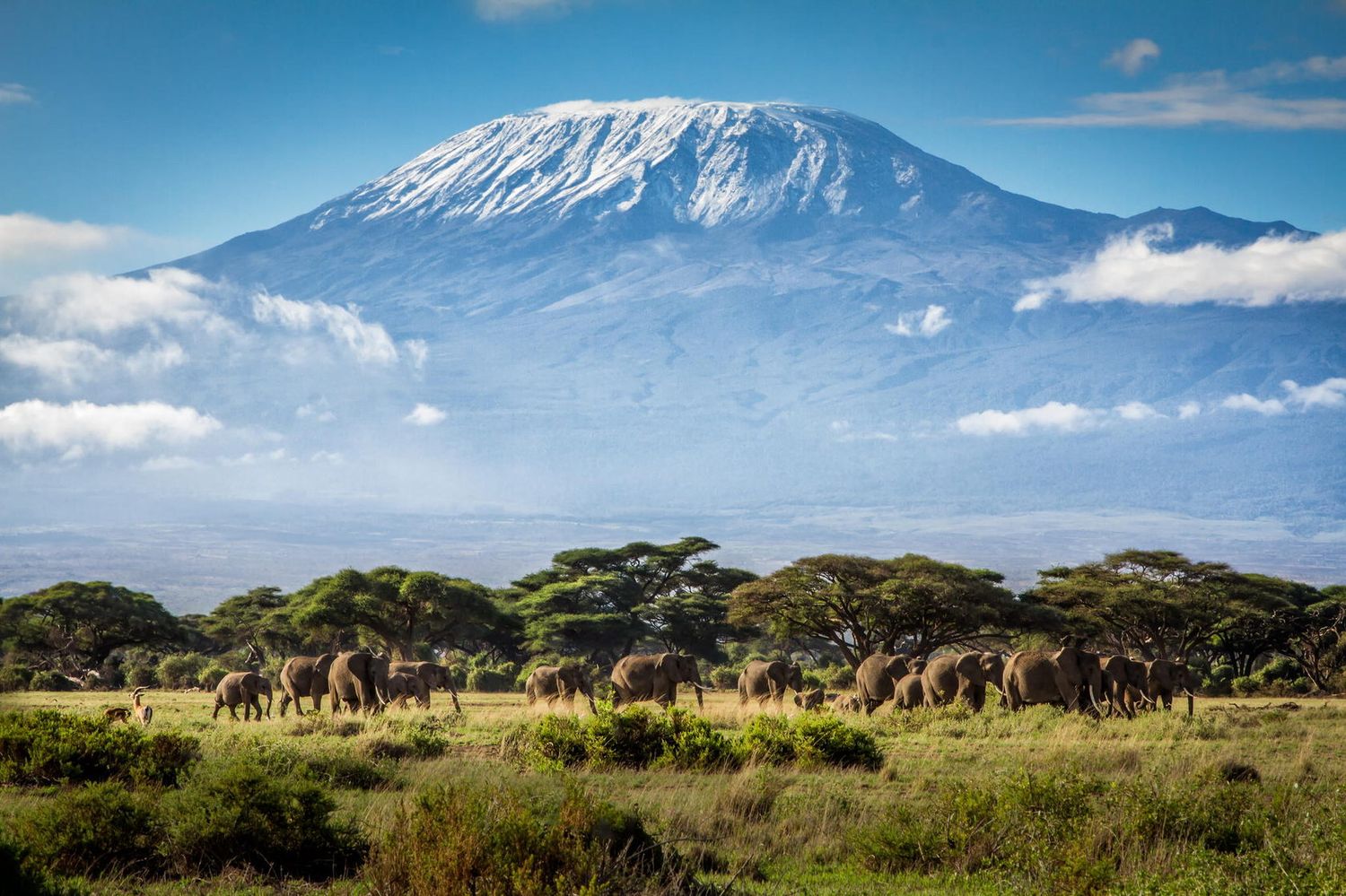 TANZANIA:   Expedition to the Great Migration in Serengeti, Ngorongoro Crater and Lake Eyasi tribes