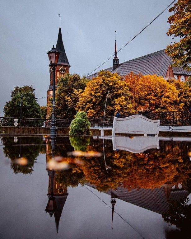Калининград В Ноябре Фото