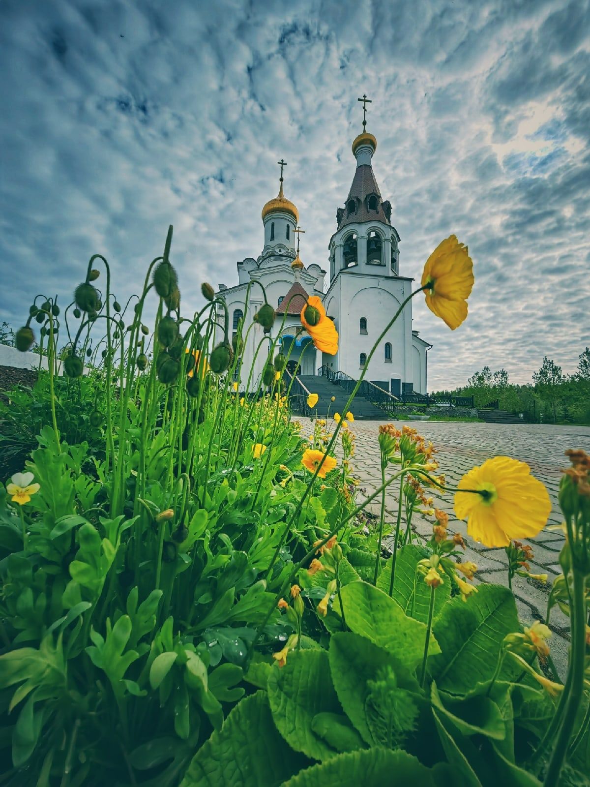 Лапландия Кольского полуострова: Терский берег и дикая природа севера :  Мурманск (Авторский) тур по цене от 34 250 ₽ · YouTravel.Me