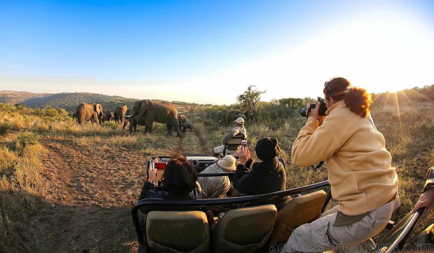 Заповедник Thula Thula Game Reserve Experience 3 дня / 2 ночи : Южная Африка  (Сафари) тур по цене от 1 517 $ · YouTravel.Me