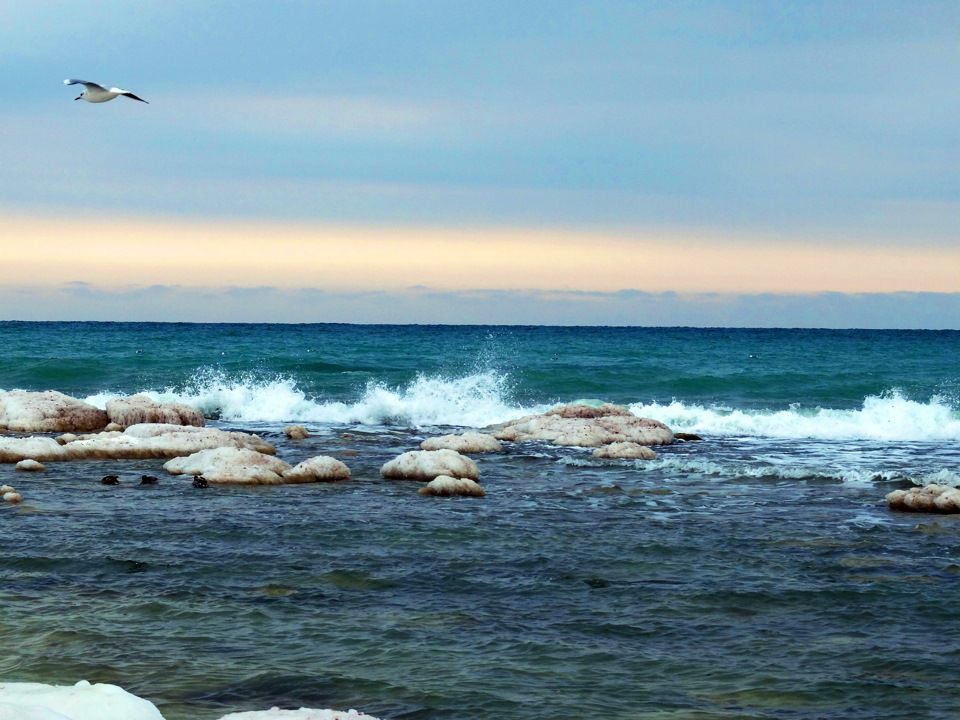 The Volga flows into the Caspian Sea · tours & trips · Tripsider.com