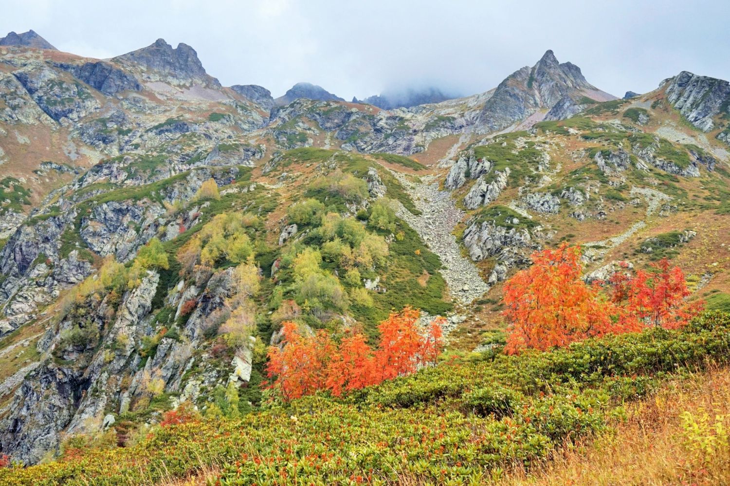 Krasnaya Polyana Mountain Cluster 2025 (The Mountains In Krasnaya Polyana  Sochi Russia Stock Photo)