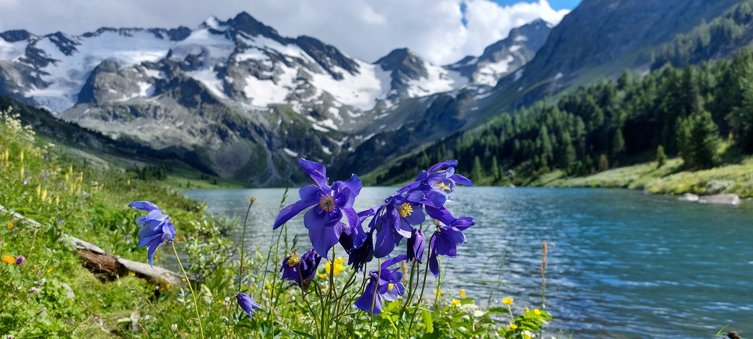 Mountain camp in Altai. Light travel to the Multinsky lakes