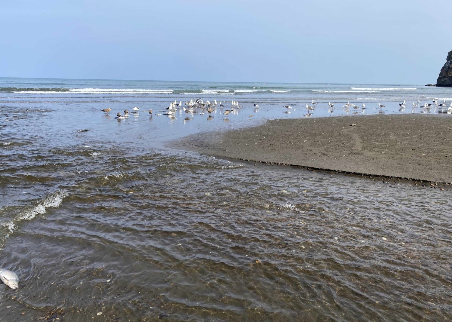 Бухта Тихая с ночевкой на берегу Охотского моря + Клоковский водопад 18 –  19 июля· отдых по цене от 29 900 ₽ · YouTravel.Me