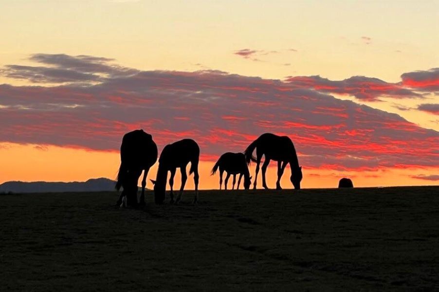 Worlds and mysteries of Tuva: a journey to the Old Believers of the Yenisei