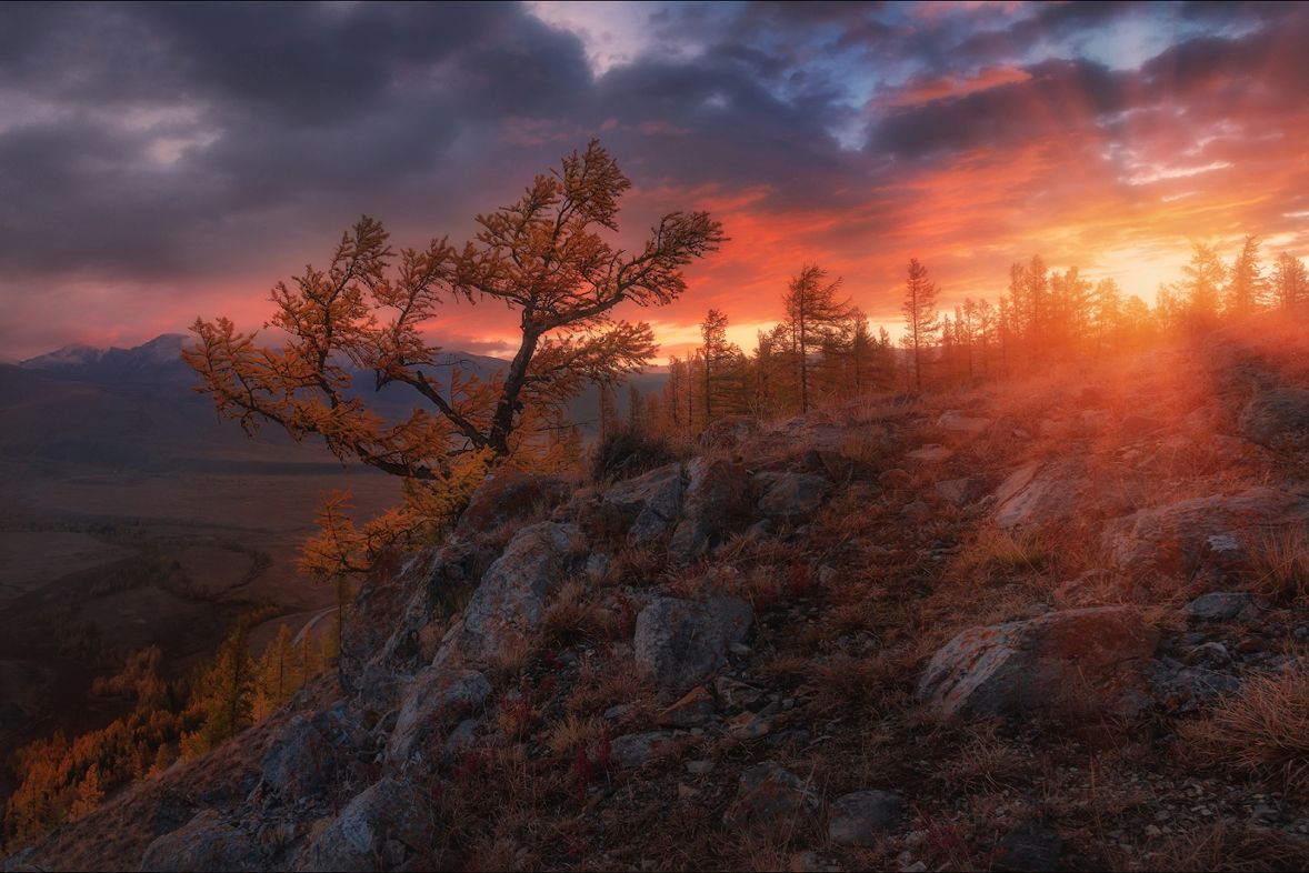 Алтай по маршруту National Geographic